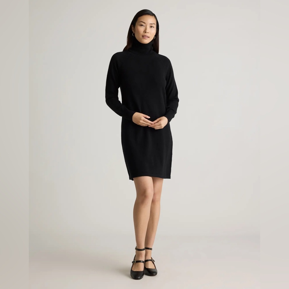 Quince Mongolian Cashmere Turtleneck Sweater Dress in Black, XS